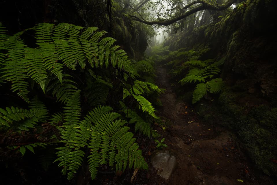 Anaga - Teneriffa – photo by Benjamin Weise