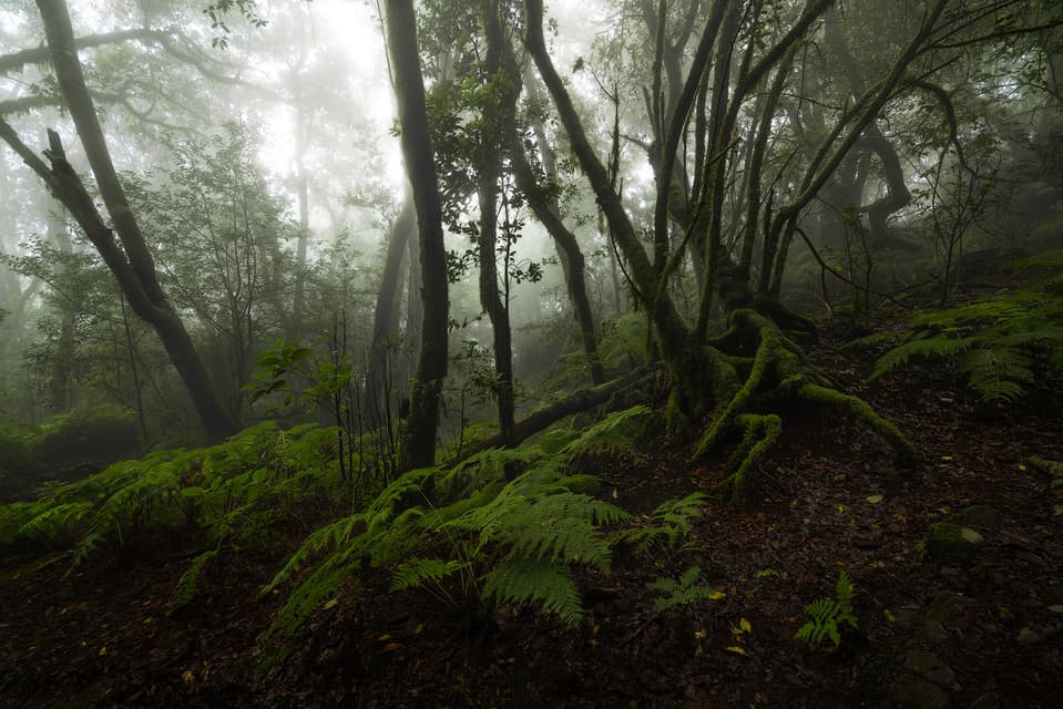 Anaga - Teneriffa – photo by Benjamin Weise