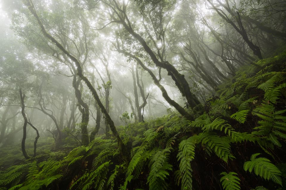 Anaga - Teneriffa – photo by Benjamin Weise